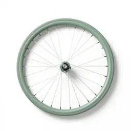 Bicycle wheel