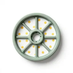Daisy print wheel