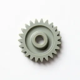 Spur gear