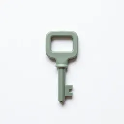 Watch key