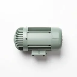 Electric motor