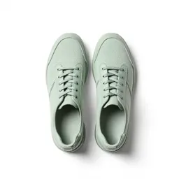 Plimsoll
