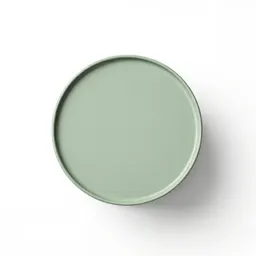 Steel drum