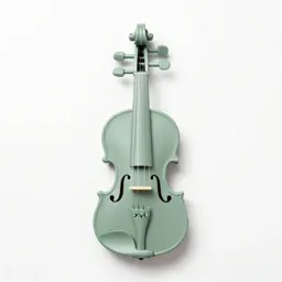Viola