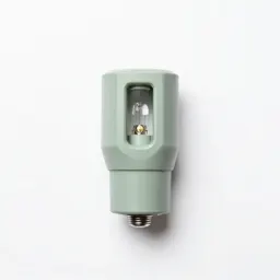Discharge lamp