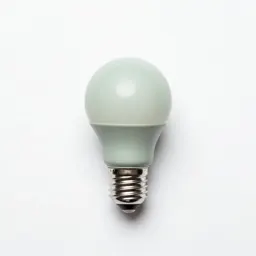 Light bulb