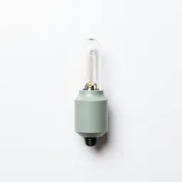 Neon lamp