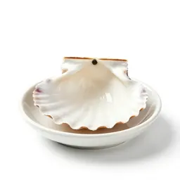 Coquille