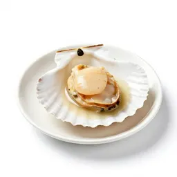 Coquilles Saint-Jacques