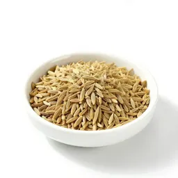 Fennel