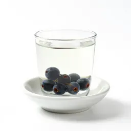 Gin