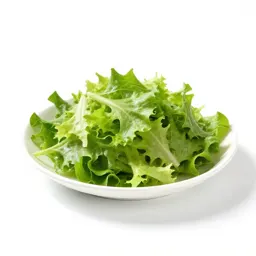 Green salad