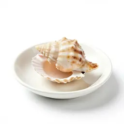 Scallopine