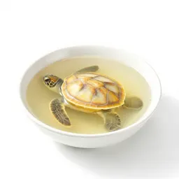 Turtle soup