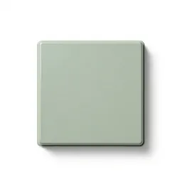 Platen