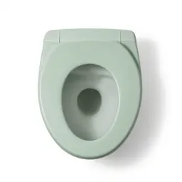 Toilet seat