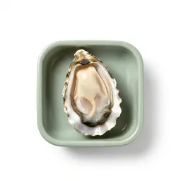 Oyster bar