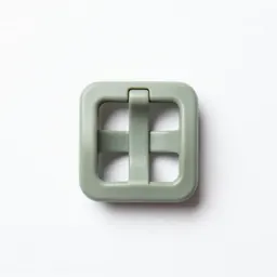 Buckle