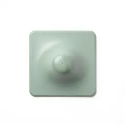 Carpet tack