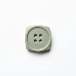 Coat button