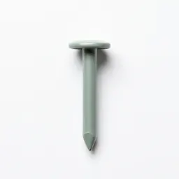 Doornail