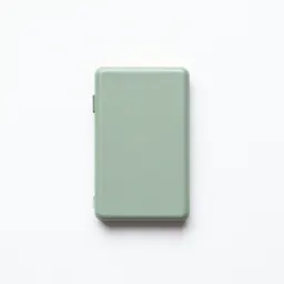 Flash memory