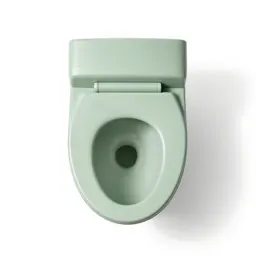 Flush toilet