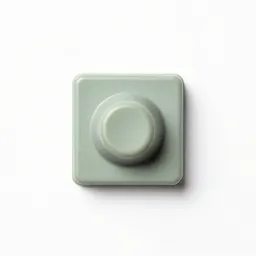 Rivet
