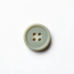 Shirt button
