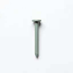Tenpenny nail