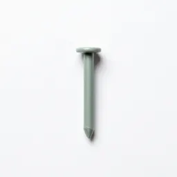 Eightpenny nail