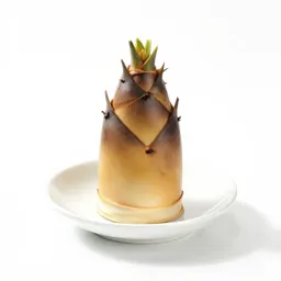 Bamboo shoot
