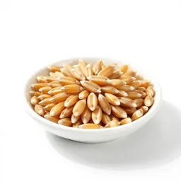 Barleycorn