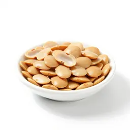 Bean