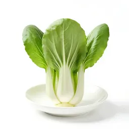 Bok choy