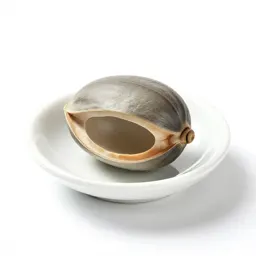 Bonduc nut