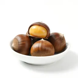 Bunya bunya