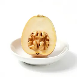 Butternut