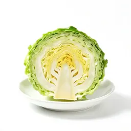 Cabbage