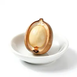Candlenut