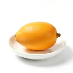 Canistel