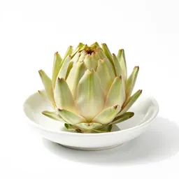 Cardoon