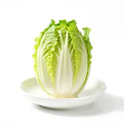 Celtuce