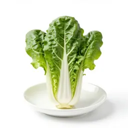 Chard