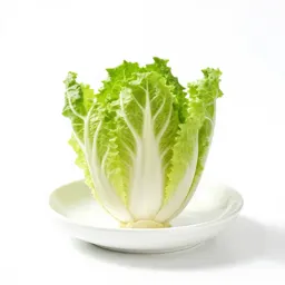 Chicory escarole