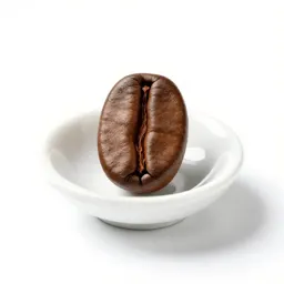 Coffee bean