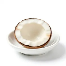 Cohune nut