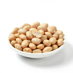 Common bean