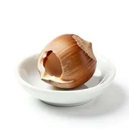 Coquilla nut