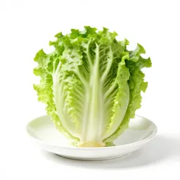 Crisphead lettuce